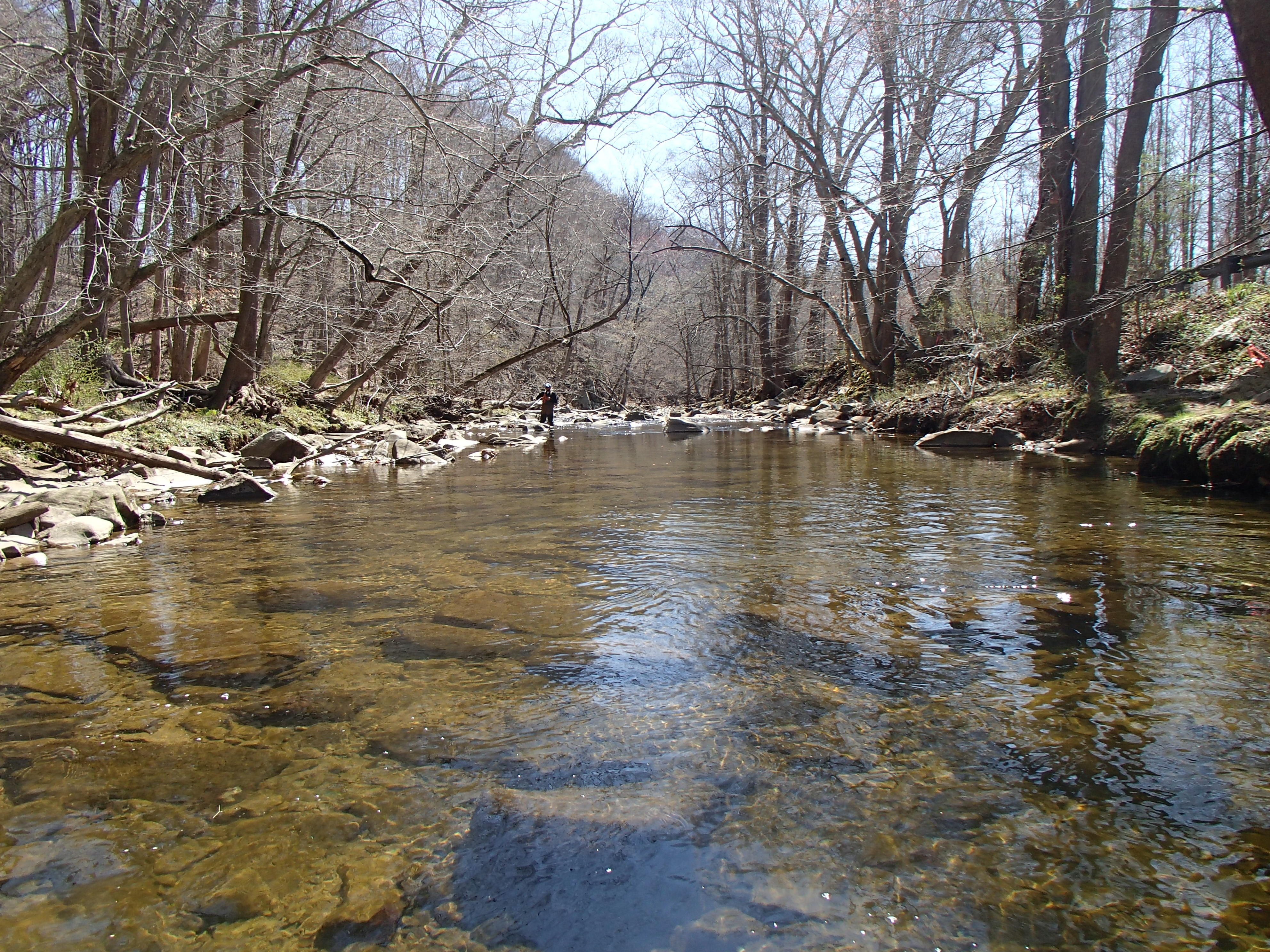 Field photo showing stream conditions at site BYNU-301-R-2016_midpoint downstream